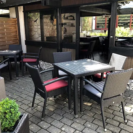 Hotel Steuer 3*
