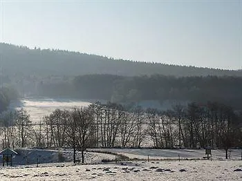 Steuer 3* Allenbach