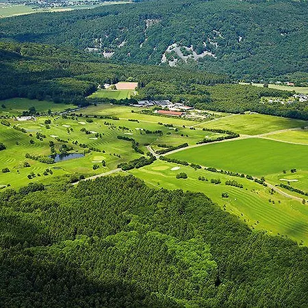 Steuer 3* Allenbach