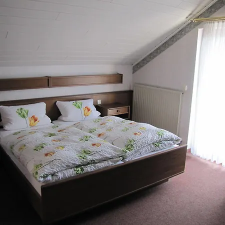 Hotel Steuer 3*