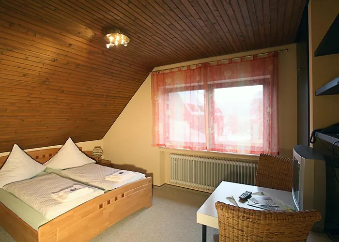 Steuer Hotel 3*